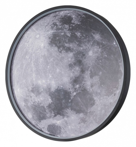 Накладной светильник Escada Planet 10226/SG LED Moon в Десногорск фото 4