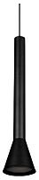 Подвесной светильник Loft it Pipe 10337/250 Black в Асино