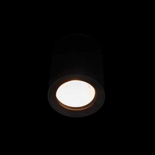 Накладной светильник Loft it Rush 10344 Black в Славгороде фото 4