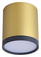 Накладной светильник Favourite Baral 3082-1C в Орле