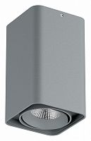 Накладной светильник Lightstar Monocco 052339-IP65 в Сарове