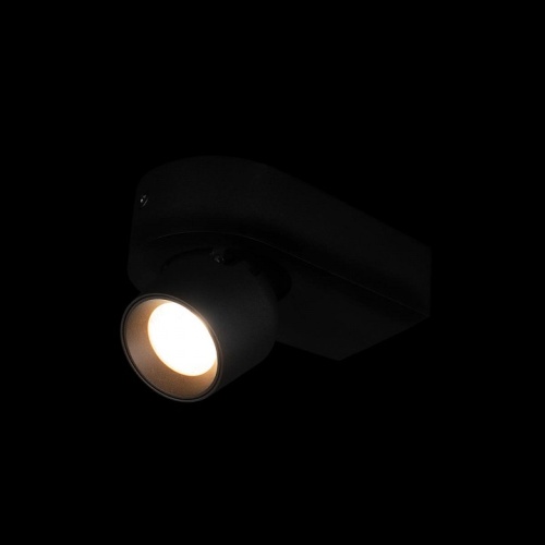 Накладной светильник Loft it Quiet 10320 Black в Камышлове фото 3