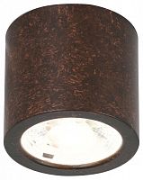 Накладной светильник Favourite Deorsum 2809-1C в Россоши