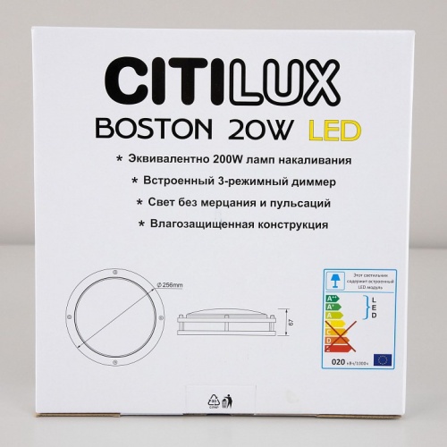 Накладной светильник Citilux Бостон CL709201N в Острове фото 14