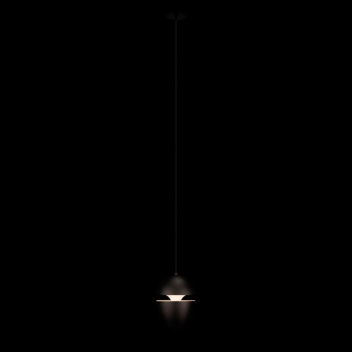 Подвесной светильник Loft it Viterbo 10336 Black в Вихоревке фото 5