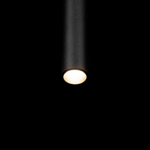 Подвесной светильник Loft it Metropolis 10334/300 Black в Камбарке фото 3