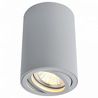Накладной светильник Arte Lamp Sentry A1560PL-1GY в Абдулино