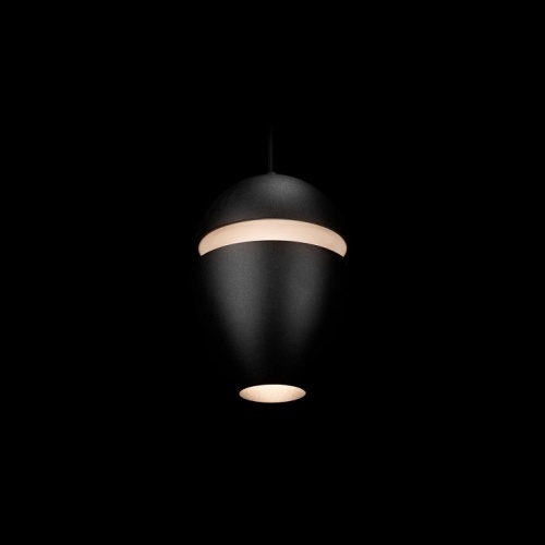 Подвесной светильник Loft it Viterbo 10336 Black в Тюмени фото 4