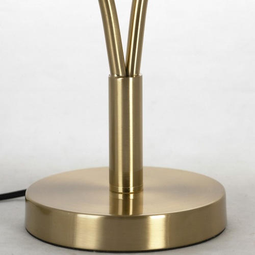 Настольная лампа декоративная Lussole Cleburne LSP-0612 в Артемовском фото 2