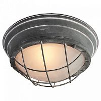 Накладной светильник Lussole Brentwood GRLSP-9881 в Десногорск