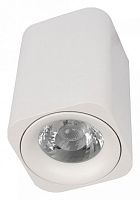 Накладной светильник Loft it Cup 10329 White в Билибино