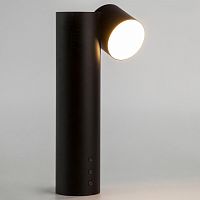 Настольная лампа декоративная Eurosvet Premier 80425/1 черный в Городце