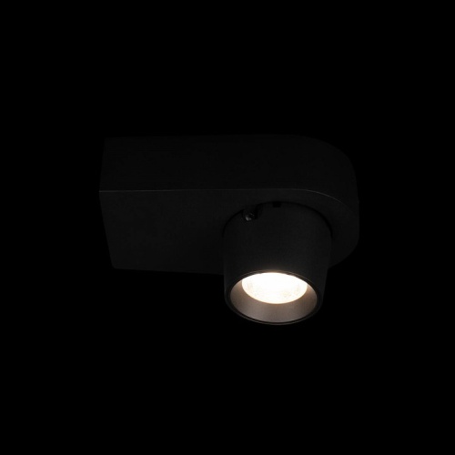 Накладной светильник Loft it Quiet 10320 Black в Магадане фото 5