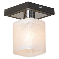 Потолочный светильник Lussole  Costanzo LSL-9007-01 в Зеленограде