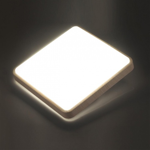 Накладной светильник Sonex Merto 7608/EL в Кондрово фото 6