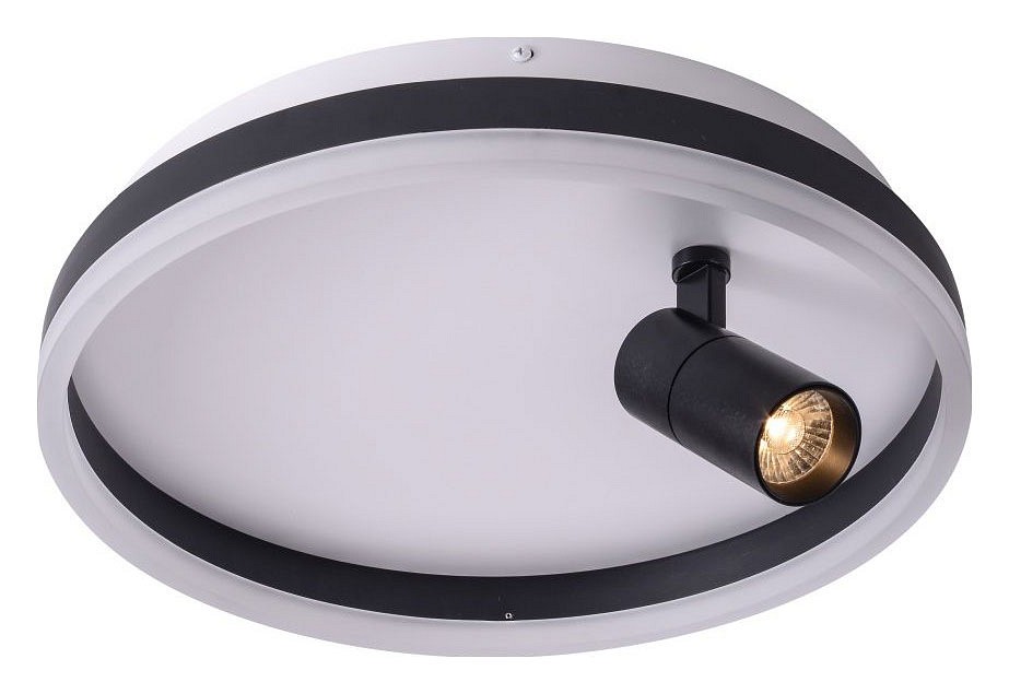 Накладной светильник Zortes Raizy ZRS.1888.03 в интернет-магазине "Галерея света"