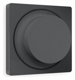 Накладка для диммера Ambrella Volt ALFA AP9055 в интернет-магазине "Галерея света"