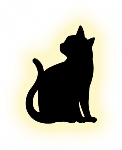 Накладной светильник Escada TOM 10209/S LED в интернет-магазине "Галерея света"