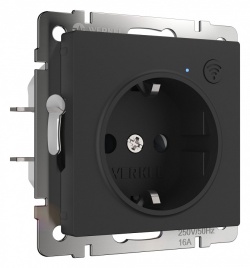 Розетка с заземлением и со шторками, без рамки с Wi-Fi Werkel черный матовый W1171608 в интернет-магазине "Галерея света"