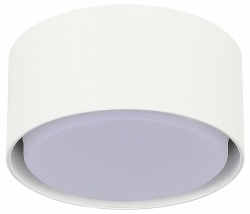 Накладной светильник ST-Luce ST164 ST164.502.01 в интернет-магазине "Галерея света"