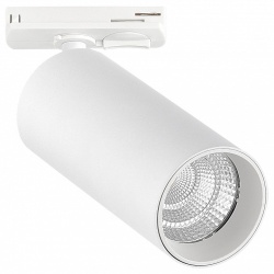 Светильник на штанге ST-Luce ST384 ST384.546.20 в интернет-магазине "Галерея света"