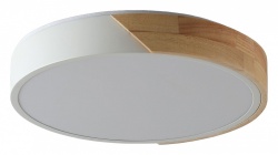 Накладной светильник Zortes Alberro ZRS.01289.48 в интернет-магазине "Галерея света"