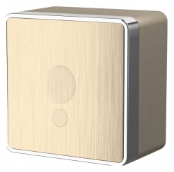 Розетка для вывода кабеля Werkel Gallant (шампань рифленый) W5050210 в интернет-магазине "Галерея света"