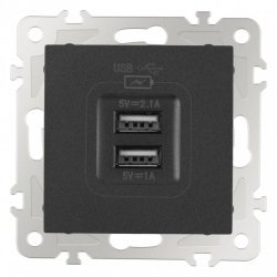 Розетка USB, без рамки Arte Milano am-206 206.46-1.black в интернет-магазине "Галерея света"