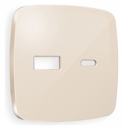 Накладка для розетки type A и C Ambrella Volt OMEGA OP3110 в интернет-магазине "Галерея света"