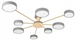 Потолочная люстра Loft it Sunrise 10316/8 Grey в интернет-магазине "Галерея света"