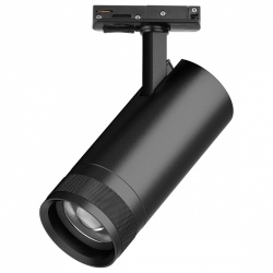 Светильник на штанге Lightstar Canno Pro C4207SS в интернет-магазине "Галерея света"