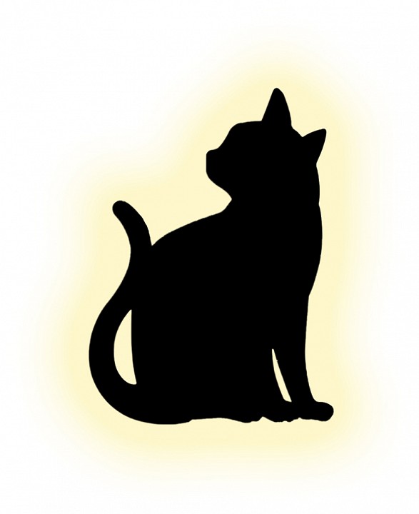 Накладной светильник Escada TOM 10209/S LED в интернет-магазине "Галерея света"