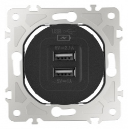 Розетка USB, без рамки Arte Milano am-202 202.46-1.black в интернет-магазине "Галерея света"