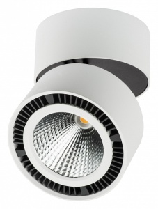 Накладной светильник Lightstar Forte Muro 213830 в интернет-магазине "Галерея света"