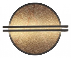 Накладной светильник Favourite Tallar 4443-1W в интернет-магазине "Галерея света"