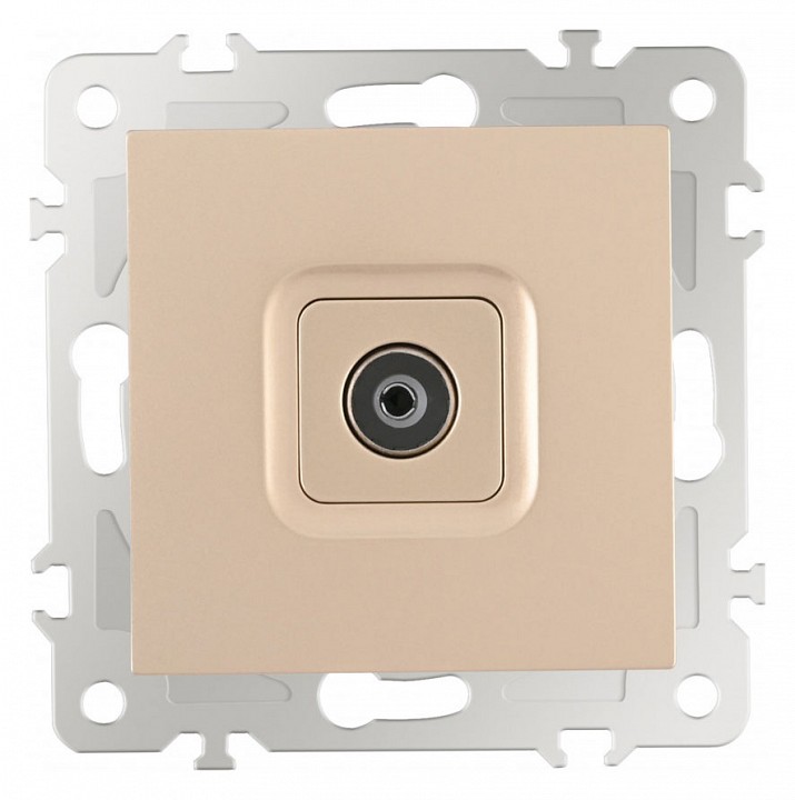 ТВ-розетка без рамки Arte Milano am-206 206.43-1.shampan в интернет-магазине "Галерея света"