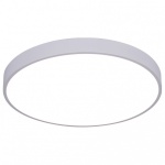 Накладной светильник Arte Lamp Arena A2670PL-1WH в интернет-магазине "Галерея света"