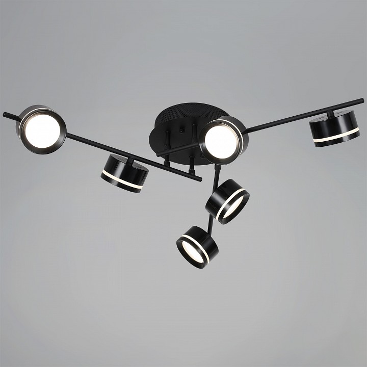 Люстра на штанге  10590-0.3-06 Black в интернет-магазине "Галерея света"