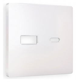 Накладка для розетки type A и C Ambrella Volt ALFA AP2110 в интернет-магазине "Галерея света"