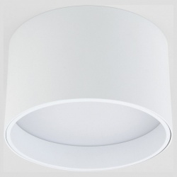 Накладной светильник Elektrostandard Banti a058846 в интернет-магазине "Галерея света"