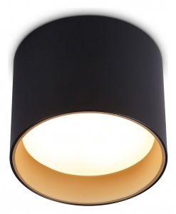 Накладной светильник Ambrella Light TN TN5306 в интернет-магазине "Галерея света"