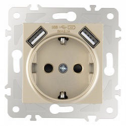 Розетка с заземлением и со шторкой и 2хUSB, без рамки Arte Milano am-203 203.47-1.shampan в интернет-магазине "Галерея света"