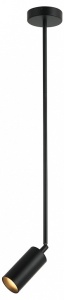 Светильник на штанге Kink Light Рия 07621-1,19 в интернет-магазине "Галерея света"