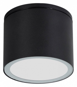 Накладной светильник Arte Lamp Piautos A1913PF-1BK в интернет-магазине "Галерея света"