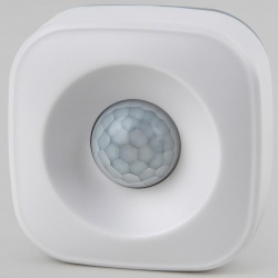 Датчик движения и освещенности Elektrostandard  a060312 в интернет-магазине "Галерея света"