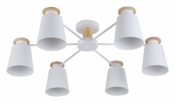 Потолочная люстра Rivoli Adna Б0053436 в интернет-магазине "Галерея света"