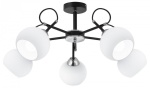 Люстра на штанге Citilux Стивен CL141251 в интернет-магазине "Галерея света"