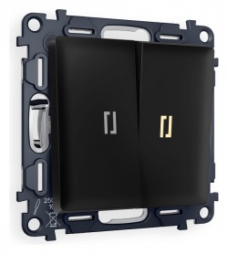 Выключатель двухклавишный с подсветкой без рамки Ambrella Volt ALFA MA804010 в интернет-магазине "Галерея света"