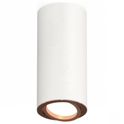 Накладной светильник Ambrella Light XS XS7442005 в интернет-магазине "Галерея света"