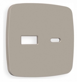 Накладка для розетки type A и C Ambrella Volt OMEGA OP3710 в интернет-магазине "Галерея света"